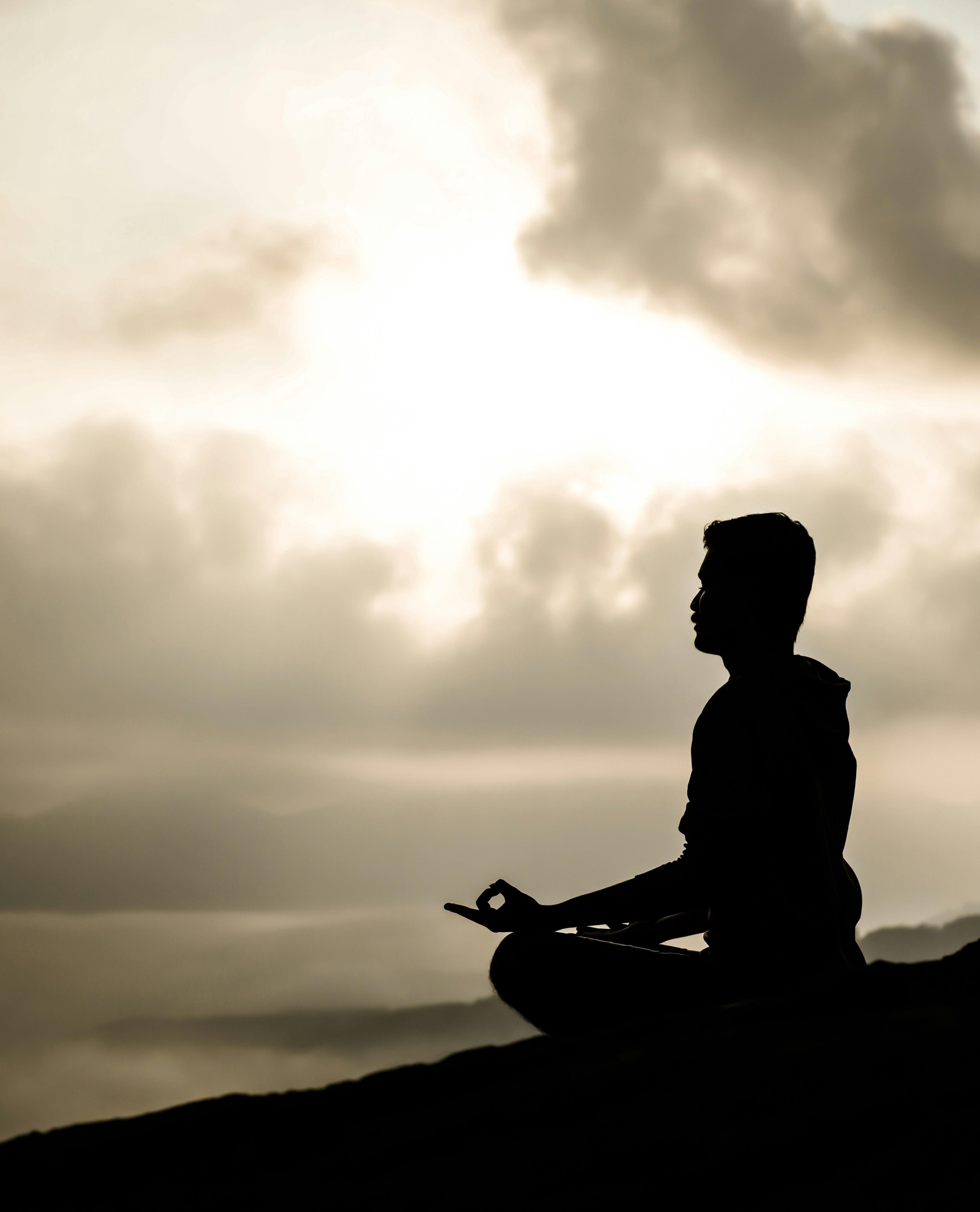 The Somatic Reset